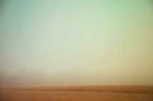 fog over an open field 