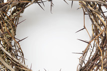 a crown of thorns with copyspace in the middle. 