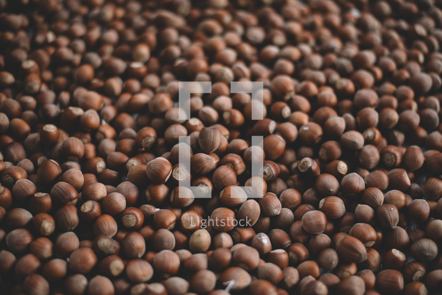 Background Of Collection Hazelnuts, Collection Of Hazelnuts