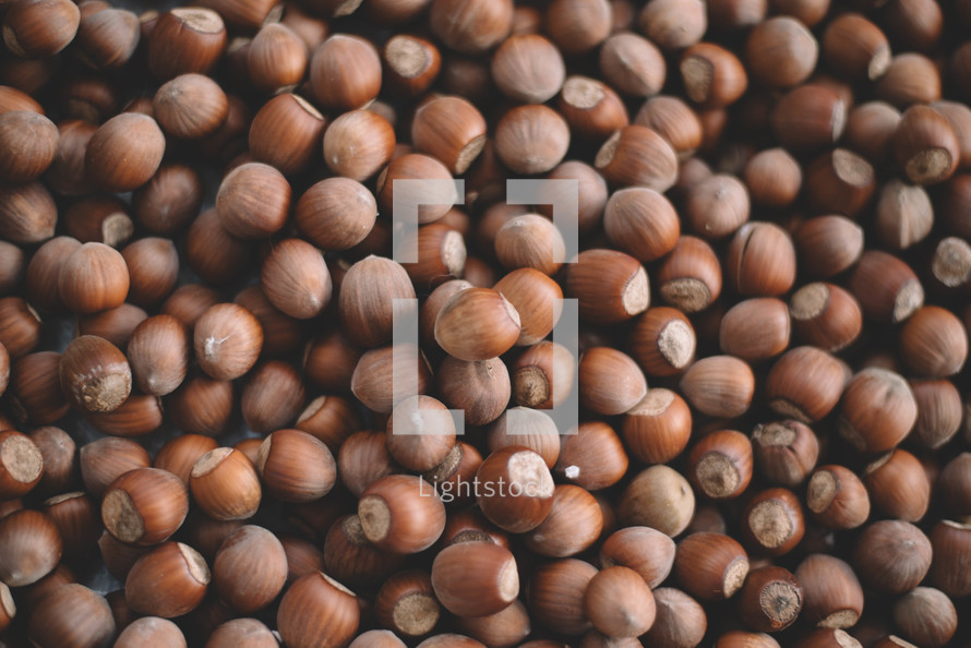 Background Of Collection Hazelnuts, Collection Of Hazelnuts