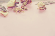 dried flowers on pink background