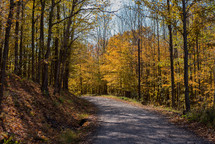 country road in fall 