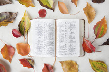 border of fall leaves around a Bible 