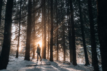 Person walking in a snow covered forest with sunlight behind them