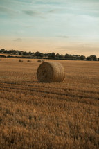Hay bale in a barley field, wheat field at harvest time, farm land rural setting
