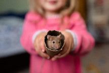 a toddler girl holding a pet mouse in a tube 