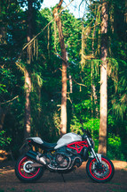 Ducati Monster 821 Italian motorcycle naked streetfighter white and red motorbike fast sports bike in an woodland setting