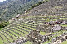 Terraced fields, Machu Picchu, Peru