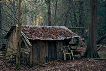 shed in the woods 