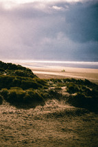 dunes along a shore 