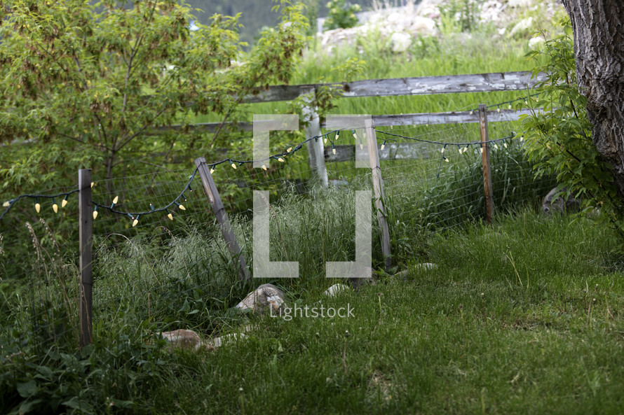 rustic fence with lights