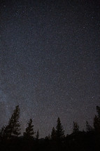 stars in the night sky 