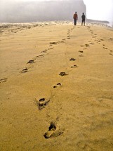 foot prints in the sand 