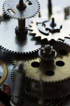 macro photo of gears in a clock. 