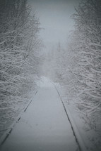 path covered in snow 