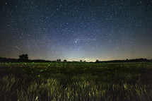A field filled with fireflies under a starry night sky