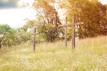 wood crosses and tall grasses on a hill 