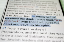When he had received the drink, Jesus said, "It is finished." What that, he bowed his head and gave up his spirit. 