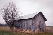 An abandoned shack on a field