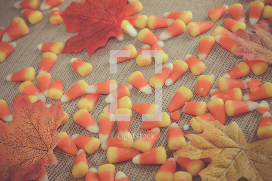 candy corn and fall leaves 