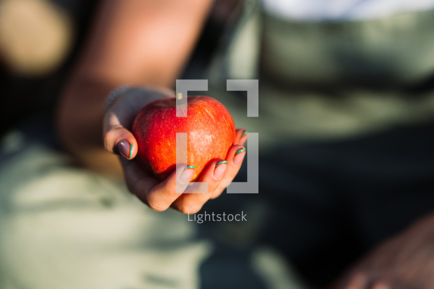 Woman gardener offers red apple. Lady holding in hand ripe fruit. Harvest. High quality photo