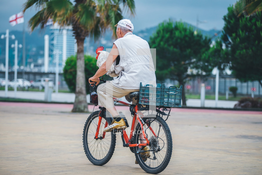 An old man rides a bicycle with a rooster