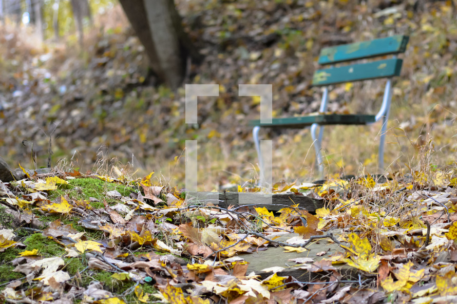 park bench in fall 