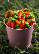 Gummy Candy Carrots in a Pink Bucket on the Grass