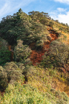 Hiking trail to the top of Stone Quitandinha at Petropolis, Rio de Janeiro, Brazil.