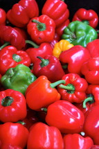 Variety of bell peppers.