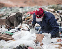 baboon and man searching through trash in a landfill 