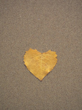 yellow heart-shaped leaf in sand 