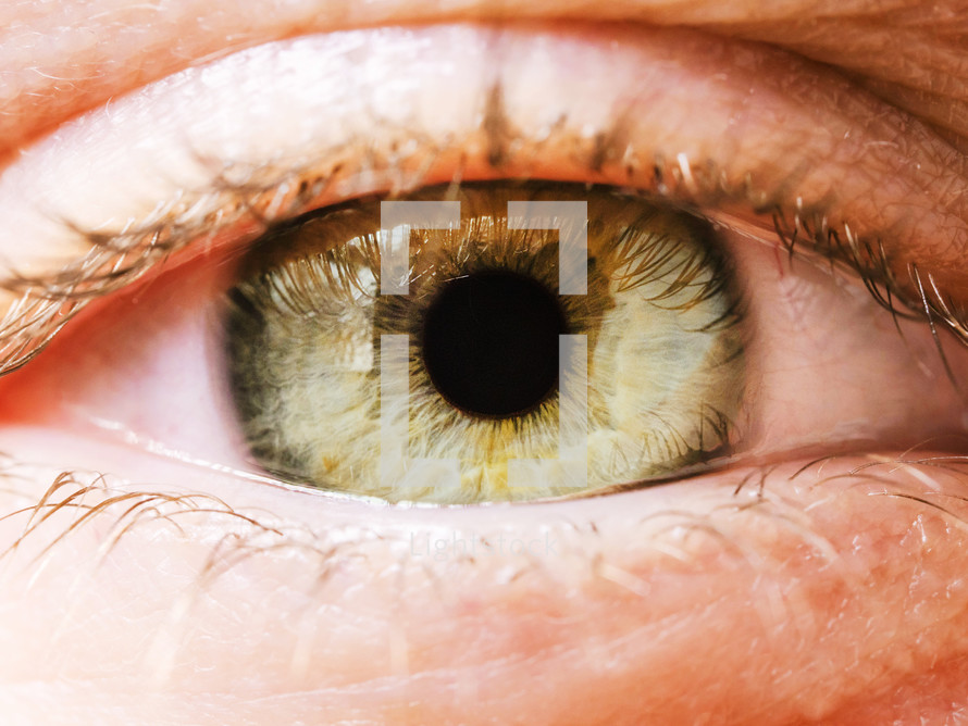 Extreme close up of woman's grenn eye iris. Human eye iris contracting.