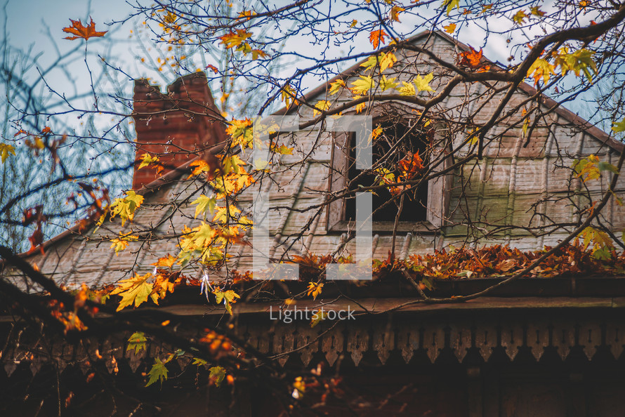 The old vintage house roof and autumn leaves