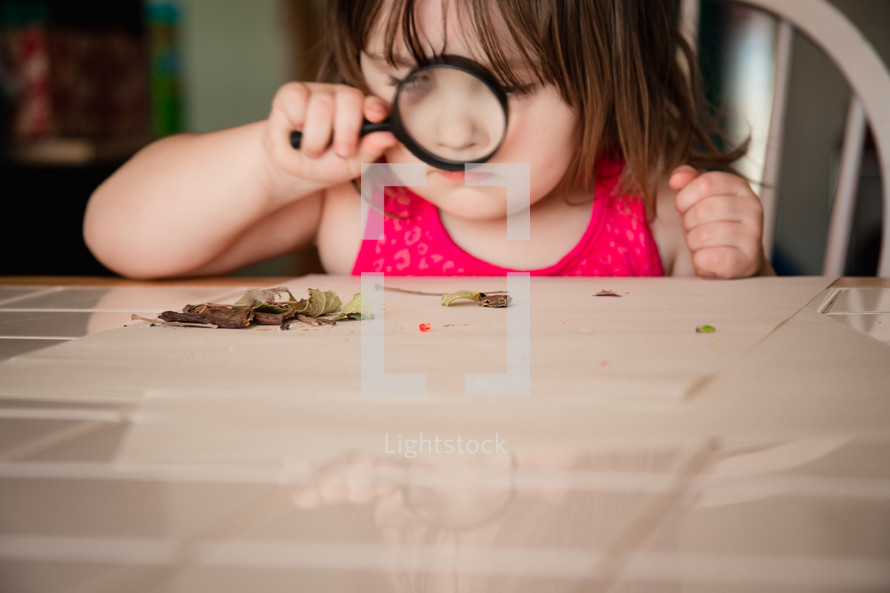 A little girl looking through a magnifying glass at leaves on a table.