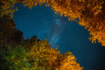 Milky Way galaxy and autumn trees