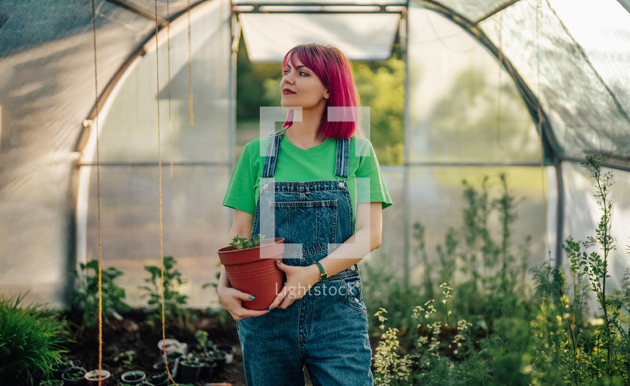 Young woman gardener in greenhouse with freshly planted plant in pot. Agriculture, organic growing vegetables and fruits, ,modern farming, leisure time. High quality photo