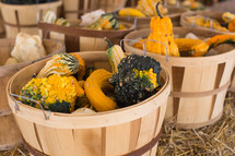 baskets of gourds 