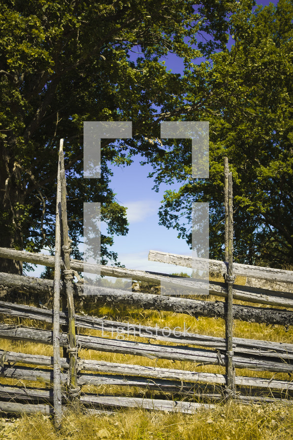 A rustic wooden fence in nature