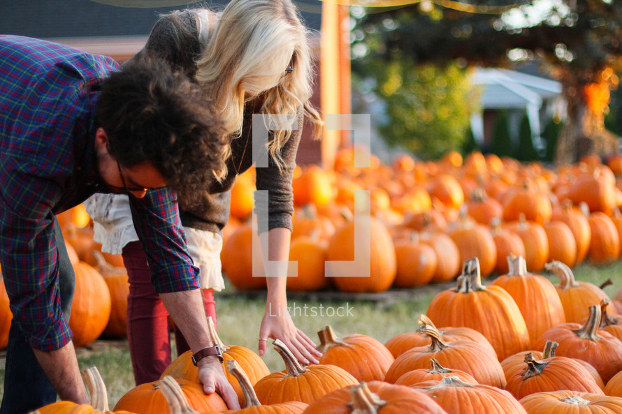 couple picking out pumpkins in a pumpkin patch 