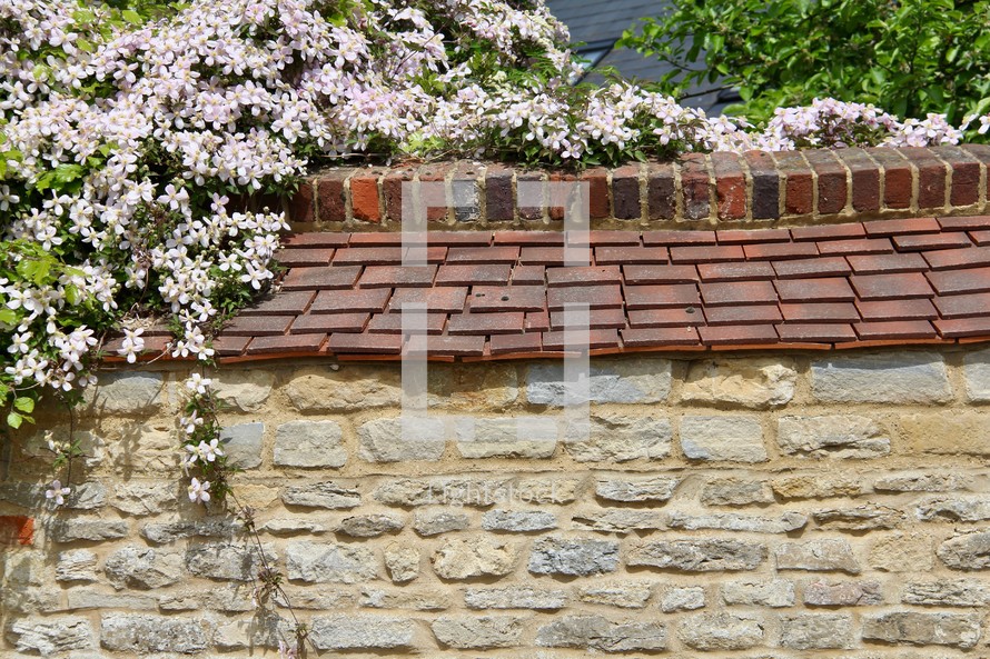 spring flowers hanging over a stone wall 