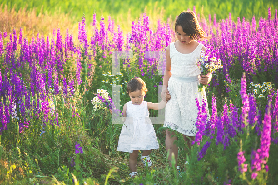 sisters playing in a field of flowers 