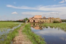Homes in a Madagascar village surrounded by rice fields