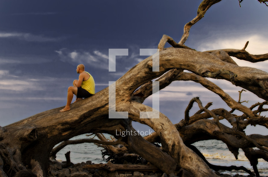 Man sitting on an uprooted tree on the beach.
