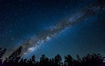 milky way and stars in the night sky above trees 