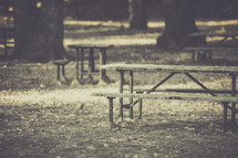 picnic benches in a park 