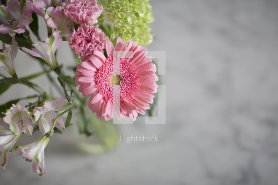 flowers in a vase 
