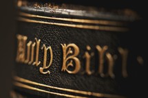 Gold embossed letters on the spine of a Holy Bible.