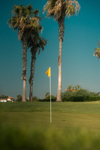 Golf course flag, green flag pin, golf hole, exotic golfing scene with palm trees and blue sky
