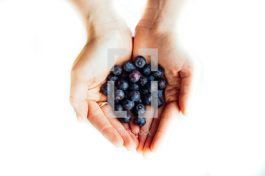 hands full of blueberries 